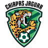 Jaguares Chiapas