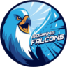 Away logo