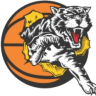 Willetton Tigers (Wom)