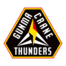 Gunma Crane Thunders