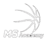 MS Academy