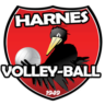 Away logo